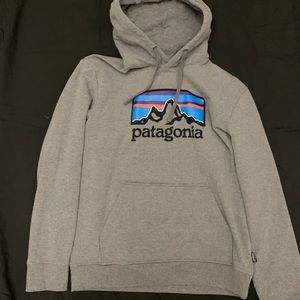 Patagonia Fitz Roy Horizons Uprisal Hoodie NWOT